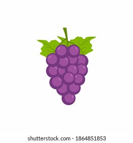 Purples grapes icon. Fresh bunch of grapes purple with green leaves isolated image on white background. Vineyard grape. Fresh fruit autumn season. Wine of grape. Colored paint collection of fruits