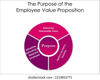 The purpose of the Employee Value Proposition in a Circular Infographic template