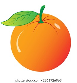 The purpose of an illustration of an orange can vary. It can be used for educational purposes, such as to teach people about the appearance and anatomy of an orange. It can also be used for decorative