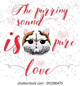 The purring sound is pure love, greeting card and motivational quote for pet lovers with typographic design. Cute friendly smiling cat face with hearts and sparkle. Hand lettered message, calligraphy.