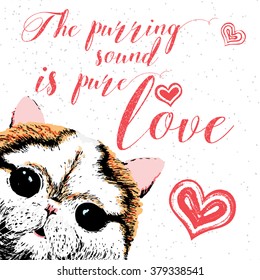 The purring sound is pure love, hand drawn card and lettering calligraphy motivational quote for cat lovers and typographic design. Cute, friendly, smiling, inspirational cat with hearts and sparkle. 