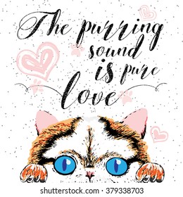 The purring sound is pure love, hand drawn card and lettering calligraphy motivational quote for cat lovers and typographic design. Cute, friendly, smiling, inspirational cat with hearts and sparkle. 