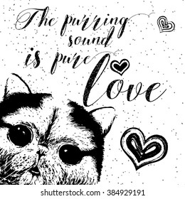 The purring sound is pure love, hand drawn card and lettering calligraphy motivational quote for cat lovers and typographic design. Cute, friendly, smiling, inspirational cat with hearts and sparkle. 