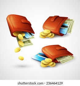 Purse with money, credit cards and coins. Vector illustration