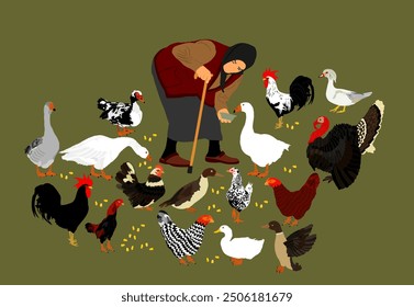 Pushed old woman with stick and feeder dish feeds the poultry. Farmer grandmother on village farm with goose, turkey, duck and chicken. Hungry farm animal eat organic corn. Vintage folklore dress lady