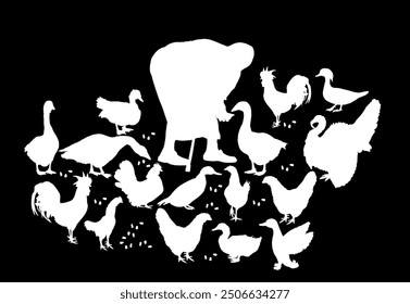 Pushed old woman with stick and feeder feeds poultry vector silhouette illustration isolated. Farmer grandmother on village farm with goose, turkey, duck, chicken. Hungry farm animal eat organic corn.