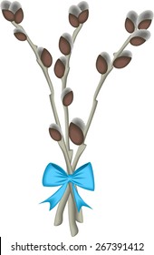Pussy willow branches