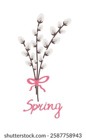 Pussy willow branches bouquet with pink ribbon. Vector illustration of spring symbol, festive bouquet, fluffy pussy willow. isolated on white background