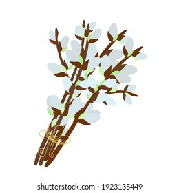Pussy willow branches bouquet, willow tree twigs vector floral illustration for spring holidays decor, greeting cards, invitations, banners, web design