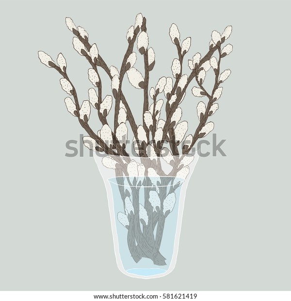 Pussy Willow Branches Bouquet Vase Vector Stock Vector Royalty