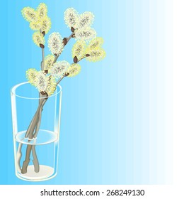 Pussy willow branches in glass vase