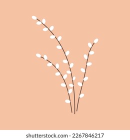 Pussy willow branches icon. Easter spring blossom twigs decoration. Palm Sunday card. Flat vector illustration isolated on beige background