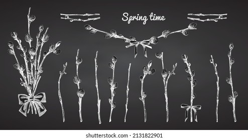 Pussy Willow branches set. Spring bouquet with ribbon bow. Chalk Hand-drawn sketch black and white design isolated on chalkboard background. Outline Sunday Easter symbol collection Vector illustration