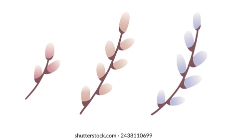 Pussy willow branches vector illustration set. Catkins twigs spring holidays decoration. Easter symbol. Botanical elements.