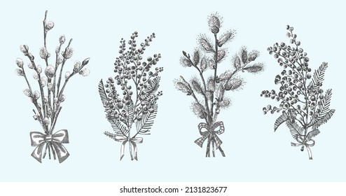 Pussy Willow, mimosa branches set. Spring bouquets with bow Hand-drawn sketch black and white design isolated on blue background. Outline Sunday Easter symbol collection Vector illustration