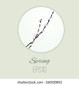 Pussy willow spring card.