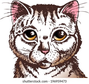 pussycat with big yellow eyes looking straight at you