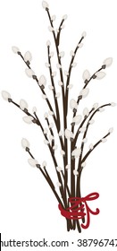 pussy-willow