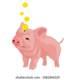 Put each coin through the hole in the piggy bank design.