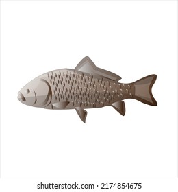 Putty fish with white background, the best Cartoonist putty fish vector illustration