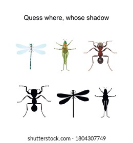 Puzzle for children about insects. In the picture, a dragonfly, a grasshopper, an ant and their shadows. You need to guess who the shadow belongs to.