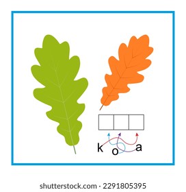 Puzzle game for children. Read the word: oak. Vector illustration for kids education. Flat design.