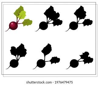 puzzle game for kids find the right shadow, beetroot. vector isolated on a white background