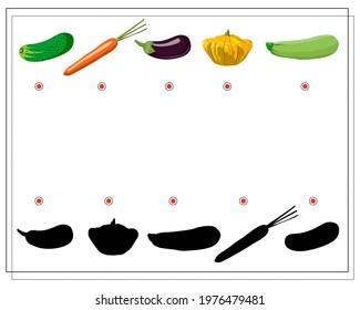 puzzle game for kids find the right shade, vegetables. cucumber, carrot, eggplant, squash, squash. vector isolated on a white background