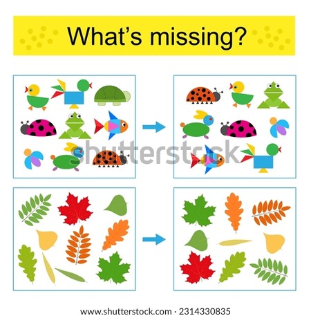 Puzzle game for kids. Task for the development of attention and logic. Find the missing object. Vector illustration.