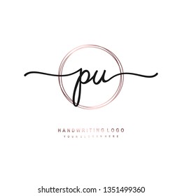 PV initial signature logo. handwriting logo template vector,