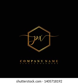 PX Initial luxury handwriting logo vector