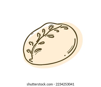 Pyanse. Traditional Korean steamed buns with vegetable and meat. Flat and doodle vector illustration