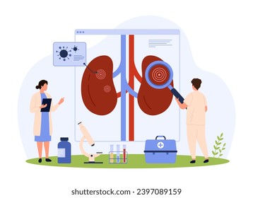 Pielonefritis, diagnóstico y tratamiento de la infección renal, ilustración vectorial de nefrología. Personas diminutas de dibujos animados revisan la salud del sistema urinario con vidrio de aumento, investigación de enfermedades crónicas y bacterias