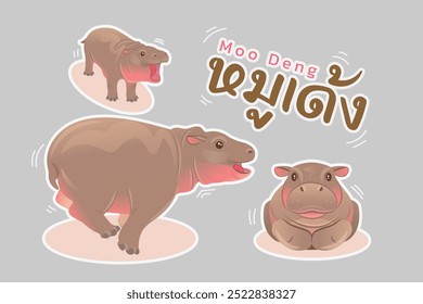 Pygmy Hippopotamus in Thailand, cute and famous hippo name Moo Deng illustrate with Thai alphabet text in her name, flat vector illustration and design with bright color vibes.