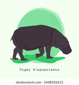 Vector de hipopótamo pigmeo, ilustración. Animal salvaje africano. Pequeño hipopotamoide en crecimiento completo y cabeza de perfil, diseño de color. Hipo pigmeo nocturno. Animal hipopótamo de África y Asia. Mamíferos.