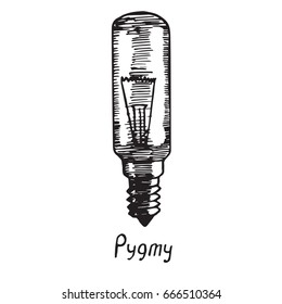 Pygmy lamp type, woodcut style design, hand drawn doodle, sketch in pop art style, isolated vector illustration