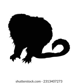 Pygmy Marmoset Silhouette. Good To Use For Element Print Book, Animal Book and Animal Content
