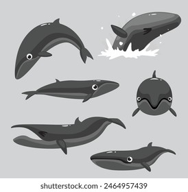 Pygmy Right Whale Poses Cartoon Vector Illustration Set