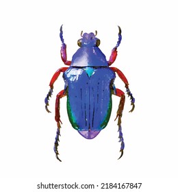 Pygora. Colorful beetle vector illustration. Bug on white background. Entomology collection. Insect picture. Watercolor style. Picture for greeting card, logo, decoration and design.