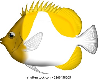 'Pyramid butterflyfish' illustration. Vector EPS format.