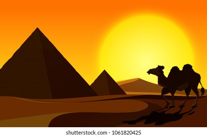 Pyramid and Camel with Desert Scene illustration