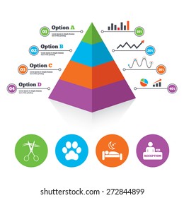 Pyramid chart template. Hotel services icons. With pets allowed in room signs. Hairdresser or barbershop symbol. Reception registration table. Quiet sleep. Infographic progress diagram. Vector