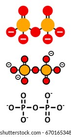Pyrophosphate (PPi) anion. Important in biochemistry, used as food additive (E450). Conventional skeletal formula and stylized representations.