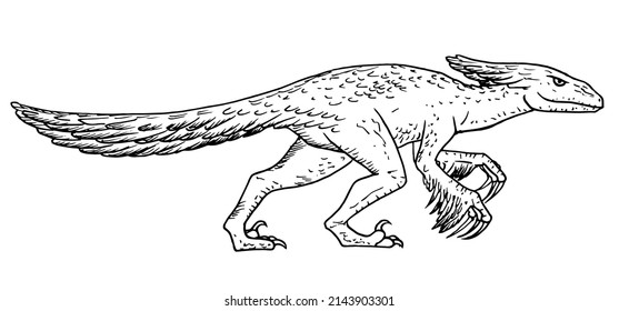 Pyroraptor dinosaur vector stock illustration.