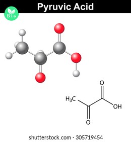 Pyruvic acid molecule, pyruvate, structural chemical formula and model, 2d and 3d vector, isolated on white background, eps 8