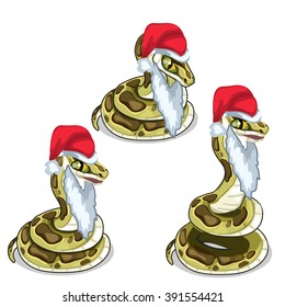 Python in a cap of Santa Claus. Festive animals. Vector illustration.