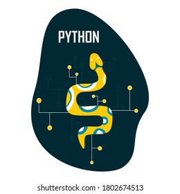 Python Code Language Sign. Programming Coding And Developing Concept. Software Development. Programming Language