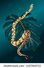 python with monstera leaf