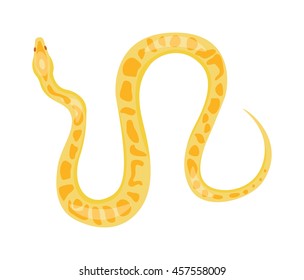 Python reticulated albino boa snake constrictor wildlife nature snake vector illustration