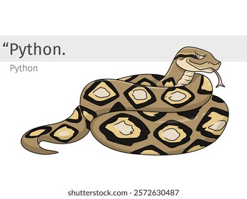 Python snake Cartoon illustration. wildlife animal isolated. Reptile cartoon collection. Snake Cartoon character